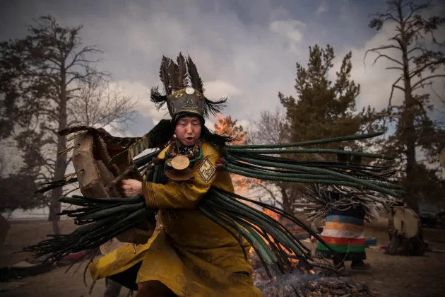 Shamanism by Manvir Singh book review Shaman Portal