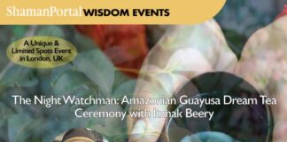 The Night Watchman: Amazonian Guayusa Dream Tea Ceremony with Itzhak Beery Guayusa dream tea ceremony Itzhak Beery Shaman