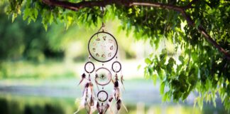 What you dream about is determined by patterns that scientists can measure and predict Scientific analysis of patterns in dreams and AI scoring