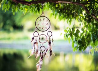 What you dream about is determined by patterns that scientists can measure and predict Scientific analysis of patterns in dreams and AI scoring