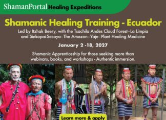 Shamanic Healers Training in Ecuador — Andes Cloud Forest & Amazon Medicine La Limpia training Andes cloud forest