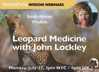 Energy Vampire Shamanic Healing: Learn to Diagnose. Protect and Rejuvenate with Itzhak Beery Leopard Medicine John Lockley