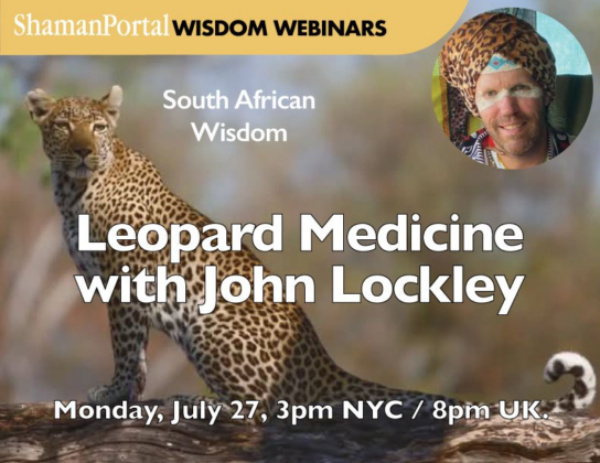 Leopard Medicine John Lockley