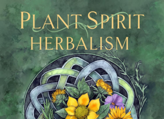 Plant Spirit Herbalism: Discover the Power of Medicinal Herbs for Inner Transformation Plant Spirit Herbalism book cover by Wendy Dooner — Shamanportal Book of the Month