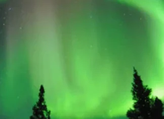 Monaco Shamanism Conference Explores Nordic Magic Sept 14 Monaco shamanism conference