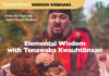 Journeys with the Black Madonna: Ancient Healing Traditions with Alessandra Belloni Elemental Wisdom Tonawaka Kwauhtlinxan tickets