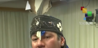 Mapuche Machi Third Gender: Spirit Beyond the Binary Mapuche Machi third gender