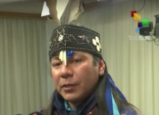 Mapuche Machi Third Gender: Spirit Beyond the Binary Mapuche Machi third gender