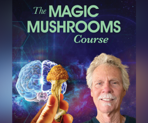 The Magic Mushrooms by Christopher Hobbs