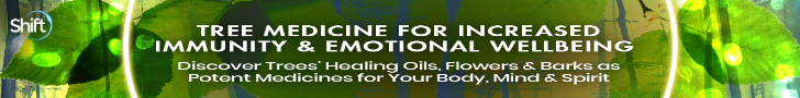 Tree Medicine for Increased Immunity & Emotional Wellbeing